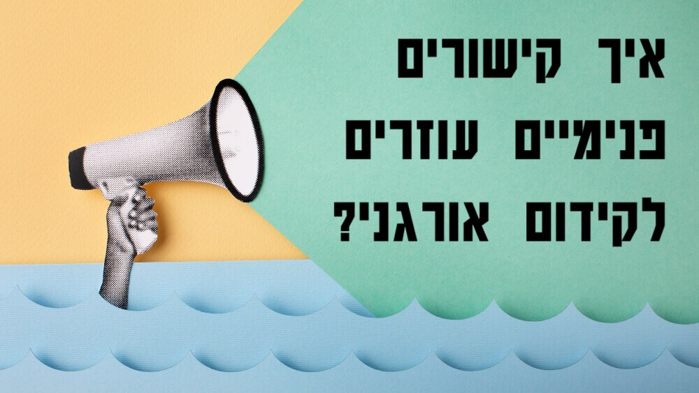 איך קישורים פנימיים עוזרים לקידום אורגני?
