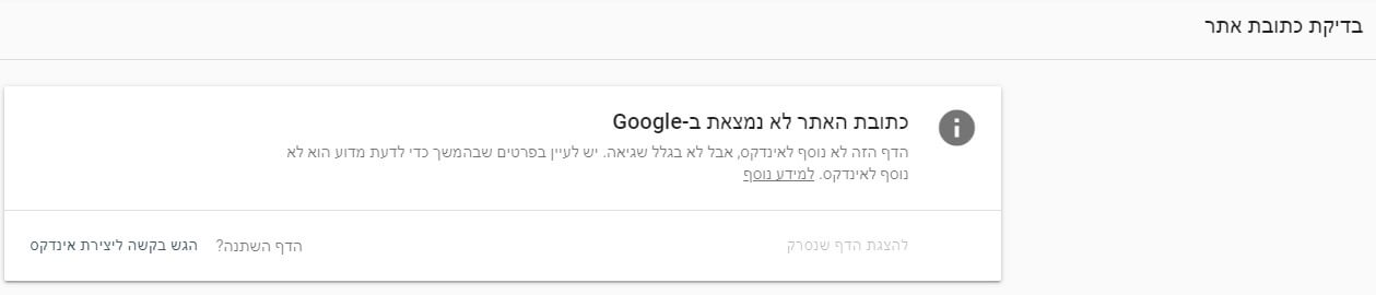 בקשה לסריקה בסירץ' קונסול