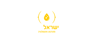 ישראל ידין