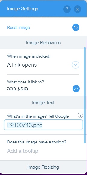 תגית אלט בוויקס